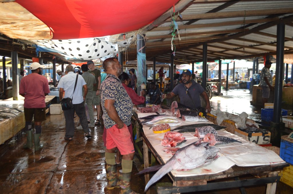 fish market Negombo
