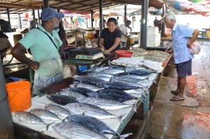 fish market Negombo