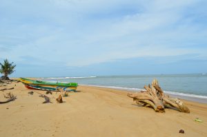 negombo beach is near our hotel.